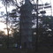 Construção da Estátua do Cristo Redentor - 18Mts + Pedestal 39Mts = 57 Metros - Sertãozinho