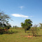 ag/2008