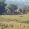 Fazenda Cerradão / Transparencia