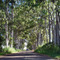 Estrada Municipal Água Limpa