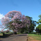 Estrada Municipal Água Limpa