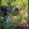 Stream