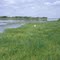 PANTANAL NO RIO TIETÊ