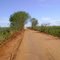 ESTRADÃO DESERTO ENTRE ILHA SOLTEIRA E PEREIRA BARRETO, PRÓXIMO A VILA DE BELA FLORESTA