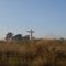 Cristo de Pradópolis