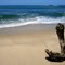 O Velho tronco e o mar