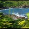 Cedro - Ubatuba - SP - BRASIL.