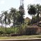Paisagem rural