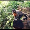 Mata dos Macacos