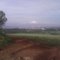 Vista de Ribeirão Preto do ponto mais alto da mata Santa Teresa
