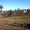 North Alagoinhas