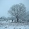 A Winter Scene in Clinton, TN