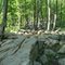 Lower Rattlerock