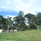 Paisagem rural - Paraná - BR