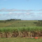 vista faz Emerson