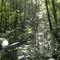 Reserva da Biosfera da Mata Atlântica - RPPN Chácara Edith
