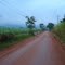 Caminho da Fé - Amanhecendo