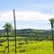 Zona Rural São João da Boa Vista