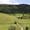 Fazenda