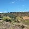 Monte em Jarinú - Tiburcio Jau
