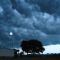 Storm clouds rising, Englewood, TN