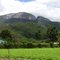 Verde, azul e branco, nossas cores, nossa bandeira... ouro, é ter nascido neste Brasil maravilhoso  :)))