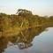 Farinha Seca - Rio Mogi-Guassú - Jaboticabal - São Paulo - Br