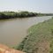 Rio Mogi Guaçu visto da ponte da Rodovia SP-333 em Barrinha