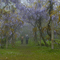 Parque das Cerejeiras, Campos do Jordão