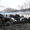 Early morning mist on Caney Fork River in Tennessee