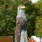 Eagle wood-carving from a tree