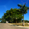 PRAÇA DO BAMBU (ALTO PARAÍSO ,CHAPADA DOS VEADEIROS, GOIÁS, BRASIL)
