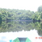 Floresta Amazonica no Lago Salvador - Iranduba - Brasil
