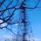 Fire Tower on Leigh's Mountain