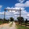 Ricochet Ranch
