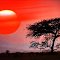 POR DE SOL, DUAS BARRAS, R.J., BRAZIL-RYD-2695