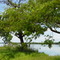 Rio Paraná