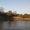 Rio Apa