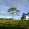 EM RIO NEGRO MS