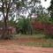 Little house in country side near rio negro ms