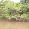 Rio aguapeí(rio feio)