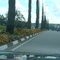 Canteiro central da SP 324 acesso ao centro de Vinhedo
