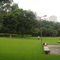 Burle Marx, a place to rest