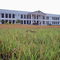 Faculdade - Univerde
