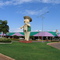 Trevo do Porco - Lucas do Rio Verde - MT