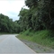 estrada para a Companhia de Cimento Ribeirão (faz frio aqui)