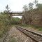 PONTE SOBRE TRONCO SUL