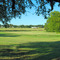 Pastoral Scene