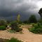 Homestead Heritage Mill Storm