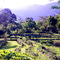 Sítio das ervas - vista do jardin, ao fundo a Serra da Mantiqueira